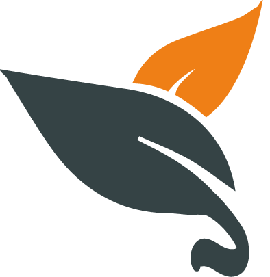 Vitae Bewindvoeringen